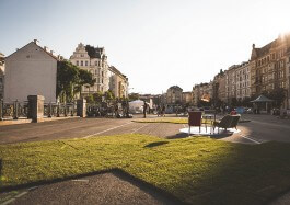 Kino am Naschmarkt 2017parking with grass