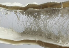 grenzgang experimental model detail