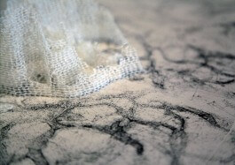 grenzgang plan and model