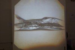 subacademy model projection detail